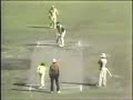 Greg Chappel Photo 14