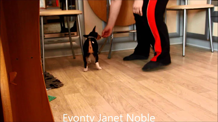 Janet Noble Photo 35