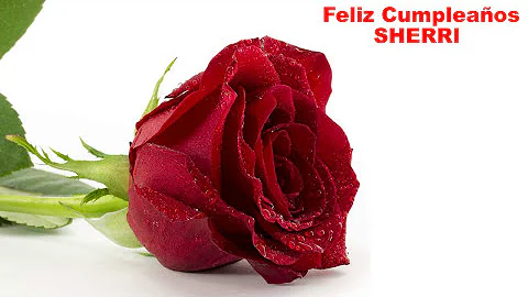 Sherri Flowers Photo 22