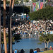 Ronald Long Photo 46