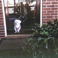 Connie Dotson Photo 2
