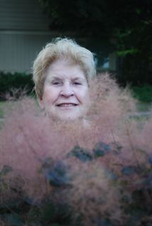Shirley Collins Photo 19