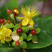John Geels Photo 12