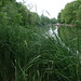 Mark Bernet Photo 16