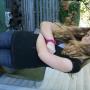 Rachel Needham Photo 21