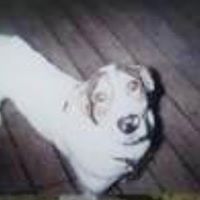 Sandra Lackey Photo 4