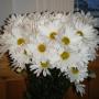 Marlene Foster Photo 24