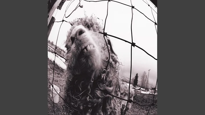 Mary Vetter Photo 28