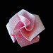 Edna Rosa Photo 33