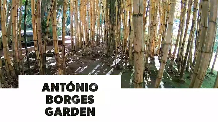 Antonio Borges Photo 34