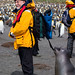 Jim Seal Photo 30