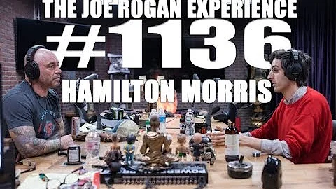 Morris Horton Photo 10