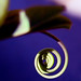Mark Dey Photo 30
