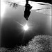 Lisa Greeley Photo 29
