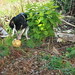 Jake Ball Photo 38