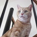 Kimberly Messina Photo 26