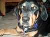 Molly Lindsey Photo 25