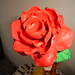 Amarilis Cruz Photo 33