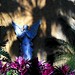 Joseph Virgilio Photo 34