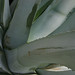 Martin Velez Photo 36