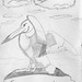 Douglas Baughman Photo 24
