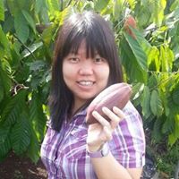 Shin Ko Photo 7