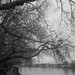 Kelly Thames Photo 19
