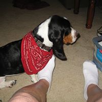 Gregory Covington Photo 2