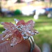 Crystal Folk Photo 27