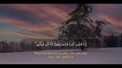 Hisham Mohamed Photo 24