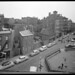 Leon Moses Photo 30