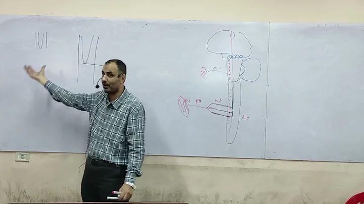 Mahmoud Allan Photo 19