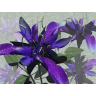 Irene Thomas Photo 13