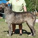 Steven Strohm Photo 19