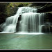 Jeff Bankhead Photo 17