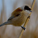 Simon Cortes Photo 28