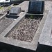 Irene Thomas Photo 42