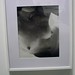 Steven Paine Photo 41