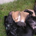 Henry Simons Photo 24