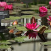 William Falconer Photo 31