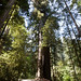 Marva Smith Photo 39