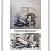 Timothy Phillips Photo 31