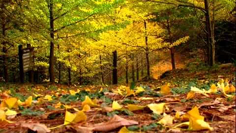 Autumn Coleman Photo 28