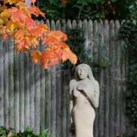 Amy Blomquist Photo 3