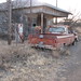 Jan Gilliland Photo 20