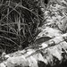 Mark Alder Photo 37