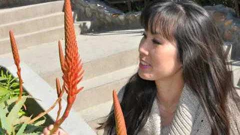 Kimthoa Nguyen Photo 22
