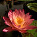 Autumn Greenberg Photo 19