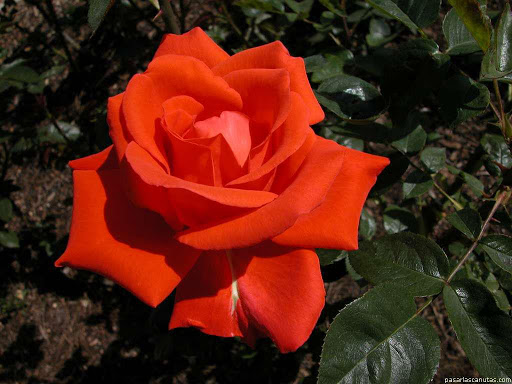 Debbie Otto Photo 9