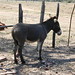 Enrique Fortin Photo 20
